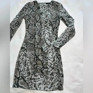 Dynamite snakeskin sweater  dress